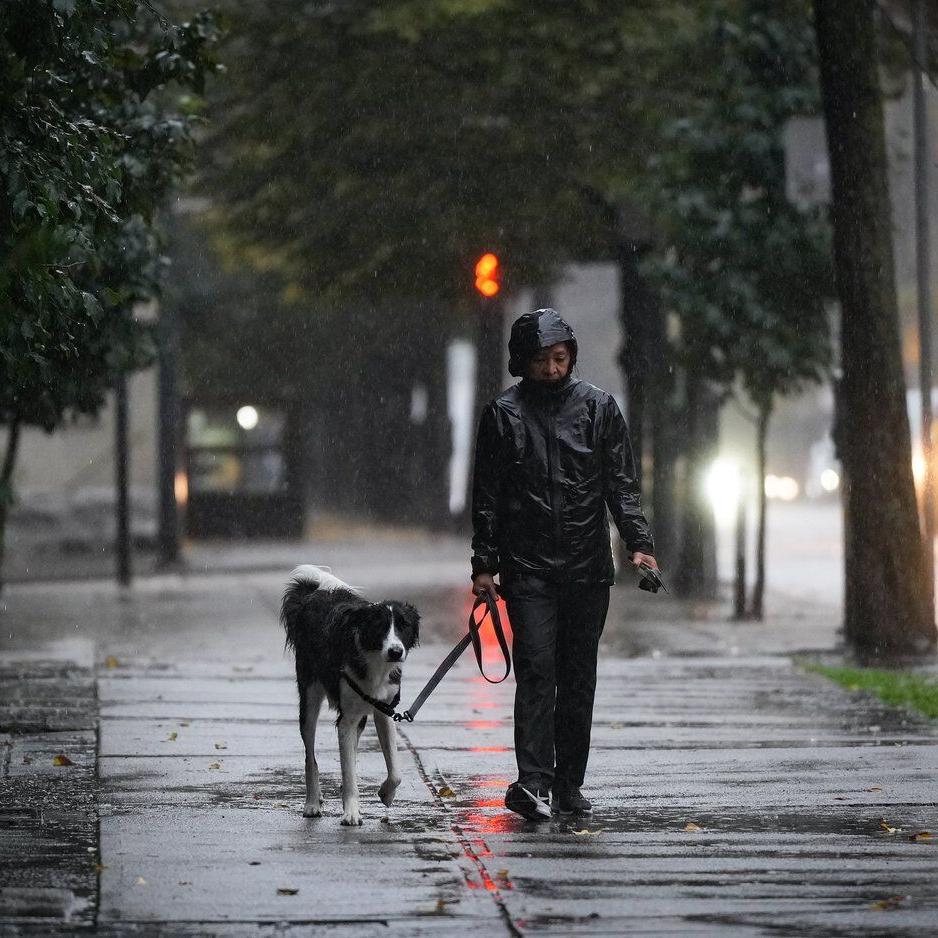 Hoax 'dogs offend Muslims' sign found in B.C. park resurfaces online